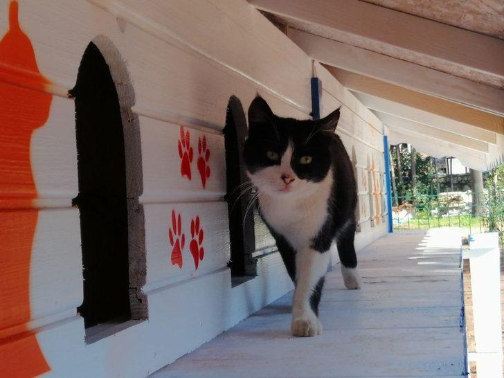 Patikent açılışa hazırlanıyor G5