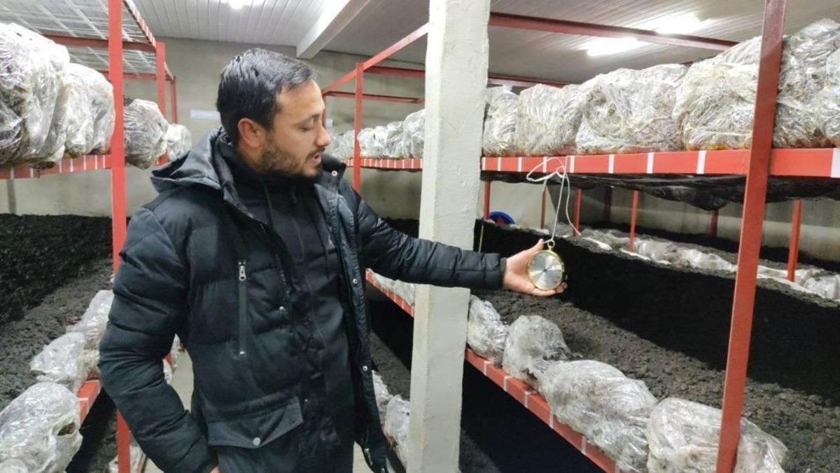 &Uuml;niversiteden mezun oldu, mantar &uuml;retimine başladı