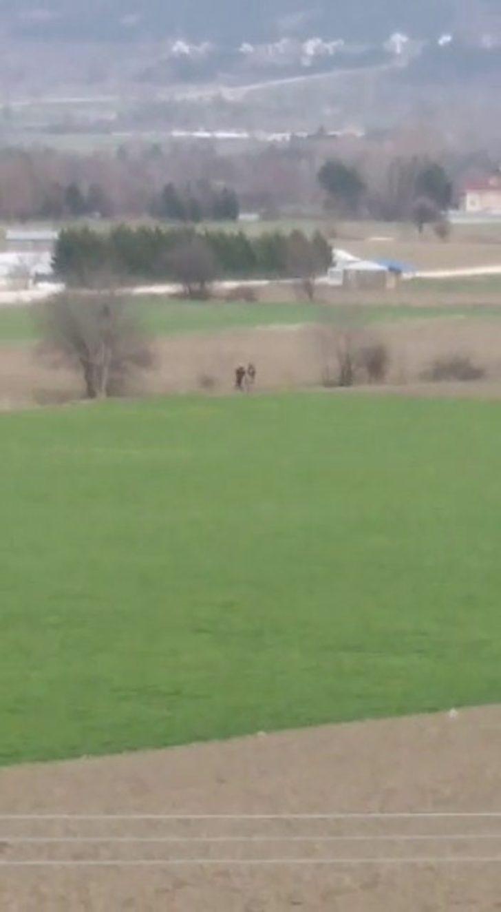 Bolu’da, köpeğe tecavüz ederken suçüstü yakalanan şahsa 15 bin lira ceza G2