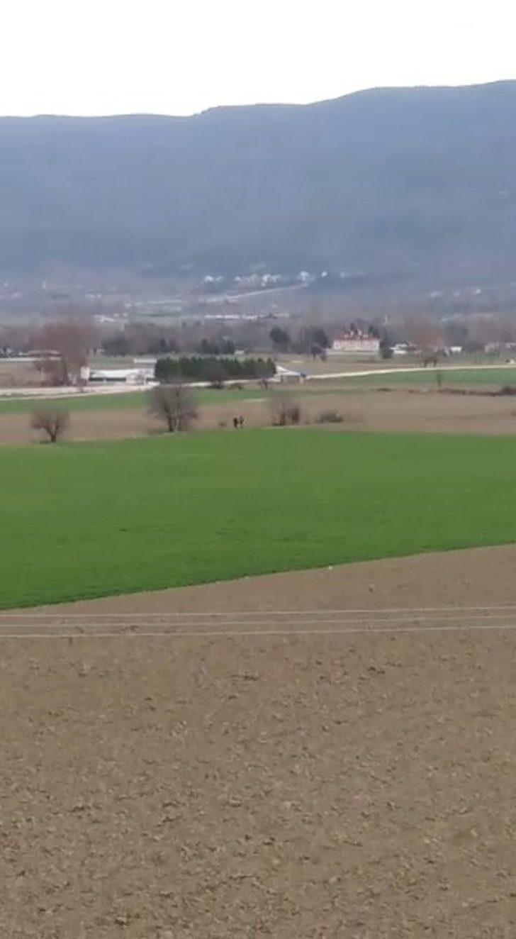 Bolu’da, köpeğe tecavüz ederken suçüstü yakalanan şahsa 15 bin lira ceza G3