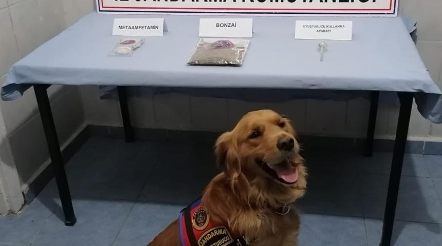 Jandarmadan yuşturucu tacirlerine suç üstü: 4 gözaltı