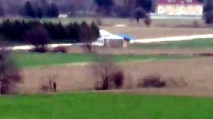 Bolu'da iğrenç olay! Köpeğe cinsel saldırıda bulundu