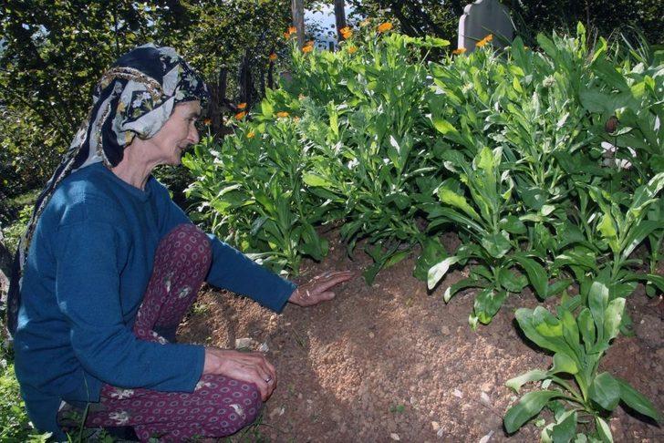 İkranur’un babaannesi Nihal Tirsi adaletin yerini bulmasını istiyor G3