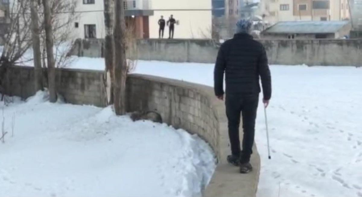 Y&uuml;ksekova&rsquo;da şehir merkezine inen kurt korkuttu