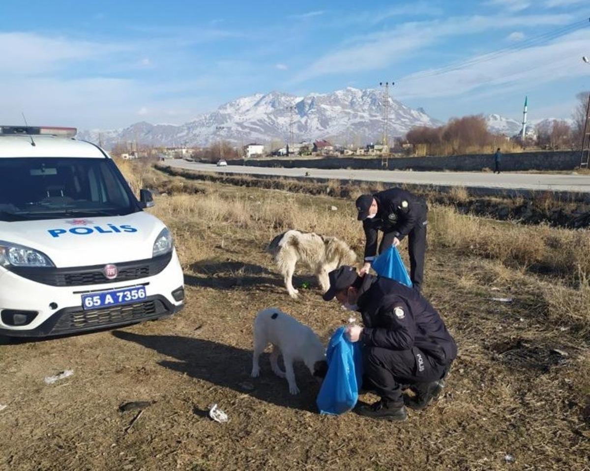Van polisi sokak hayvanlarını kendi elleriyle besledi
