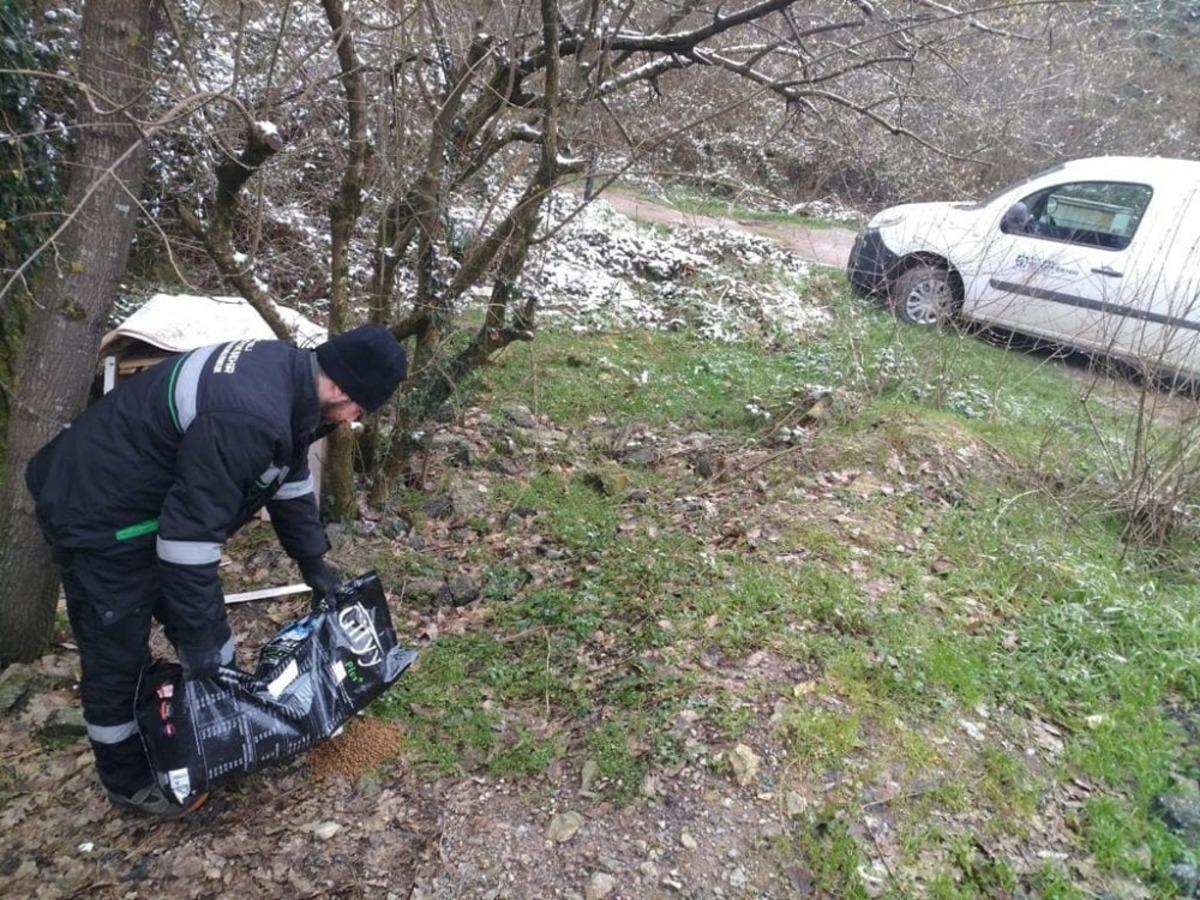 Sokak hayvanları i&ccedil;in mama bırakıldı