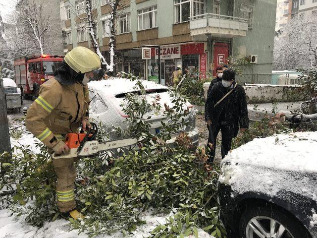 Kadıköy’de kar yağışına dayanamayan ağaç, araçların üzerine devrildi