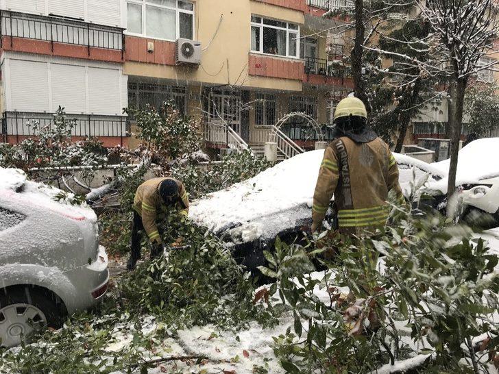 Kadıköy’de kar yağışına dayanamayan ağaç, araçların üzerine devrildi G3