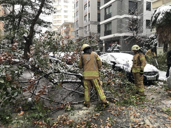Kadıköy’de kar yağışına dayanamayan ağaç, araçların üzerine devrildi G4