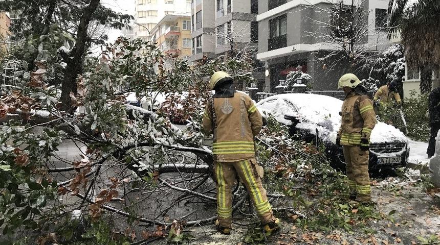 Kadıköy'de çam ağacı, araçların üzerine devrildi!