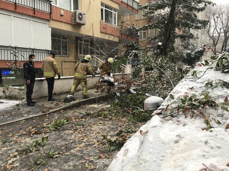 Kadıköy’de kar yağışına dayanamayan ağaç, araçların üzerine devrildi G5