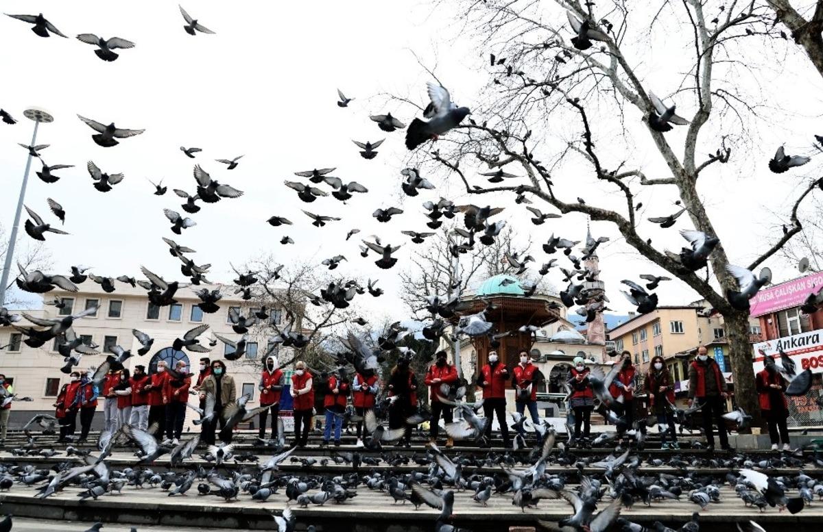 Hayvan sevgisine yasak yok