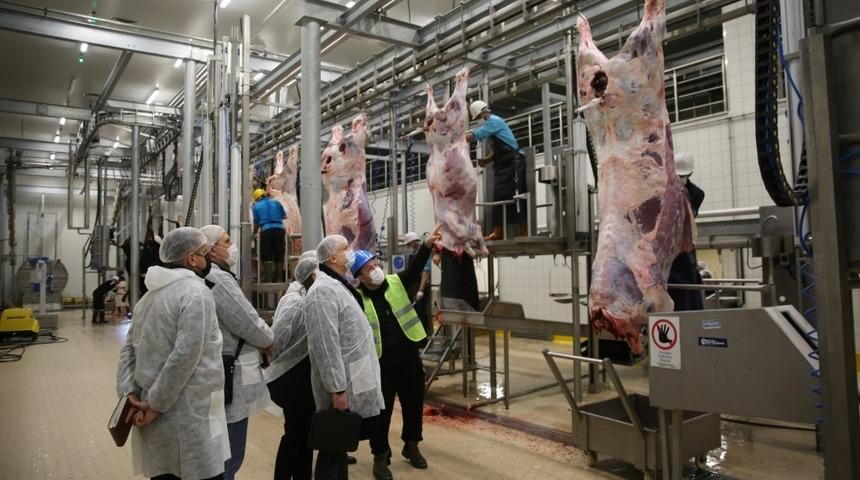 B&uuml;y&uuml;kşehir mezbahası yurt i&ccedil;i ve yurt dışından ziyaret&ccedil;i ağırlıyor