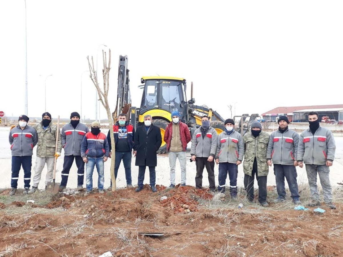 Altıntaş&rsquo;ta ağa&ccedil;landırma &ccedil;alışmaları