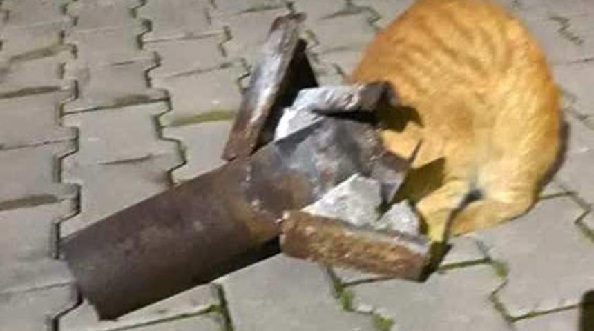 Yaramaz kediyi itfaiye kurtardı