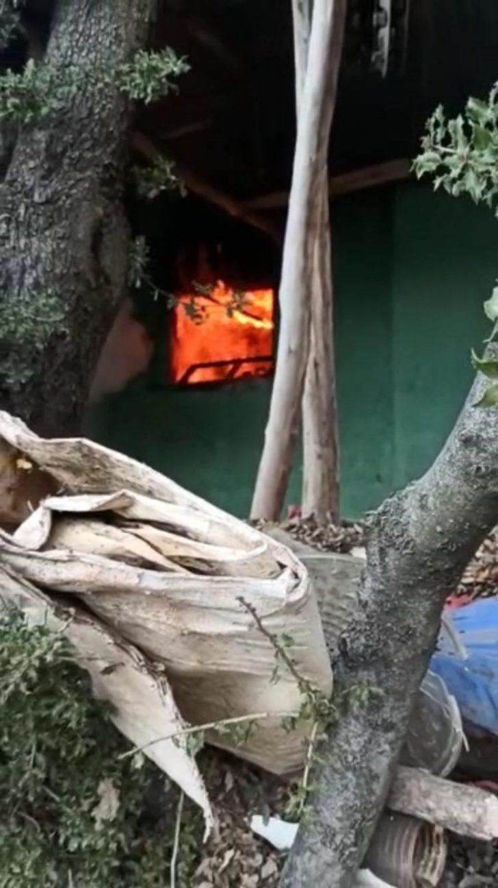 Hayvanlar yanmaktan son anda kurtarıldı G2