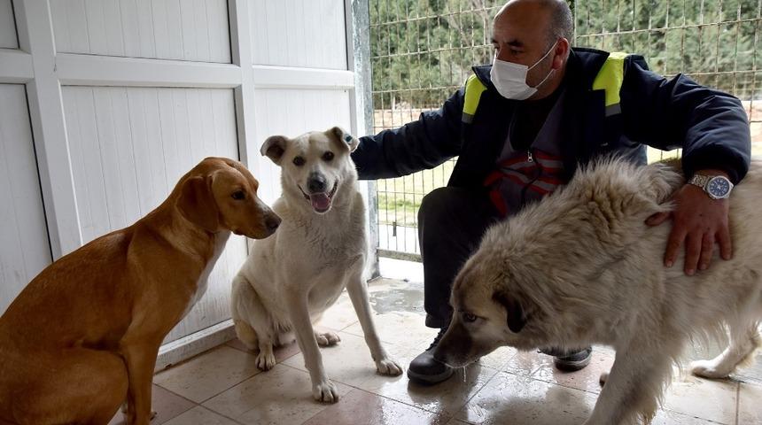 &Uuml;&ccedil; k&ouml;pek Doğal Yaşam Merkezi&rsquo;nin misafiri oldu