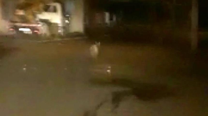 Araçla kovaladılar! İlçe merkezinde endişelendiren anlar