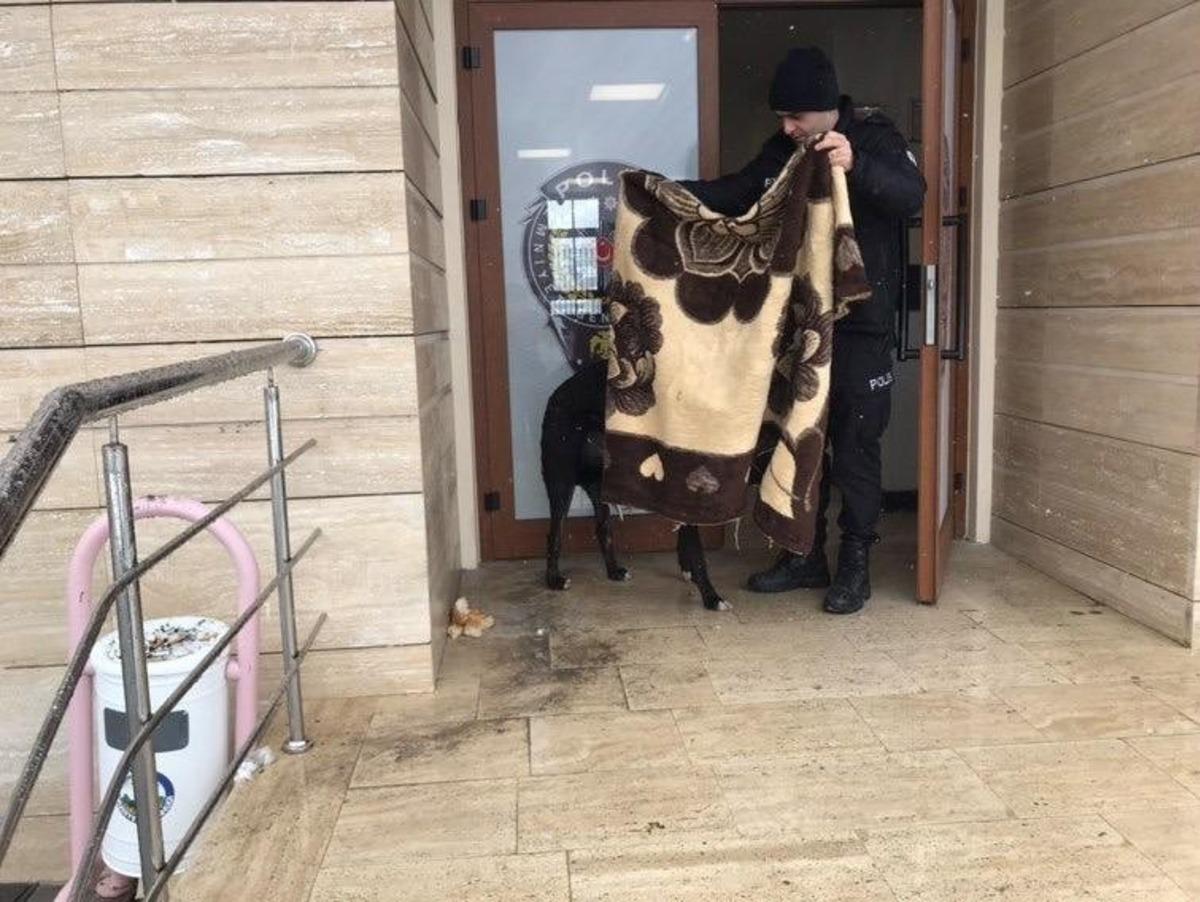 Kar yağışında &uuml;ş&uuml;yen k&ouml;peğin &uuml;zerine polis battaniye &ouml;rtt&uuml;