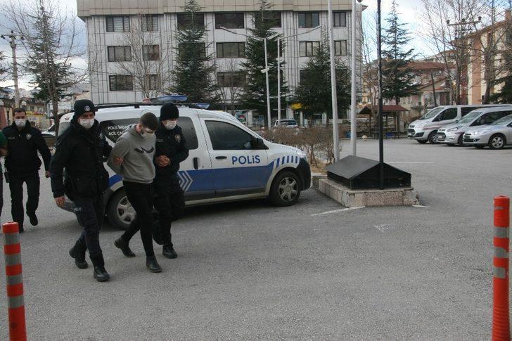 Köpeklere yiyecek verme kavgasında genç kıza dehşeti yaşattılar G2