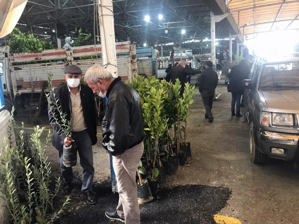 Fidanlar &uuml;reticilere teslim edildi