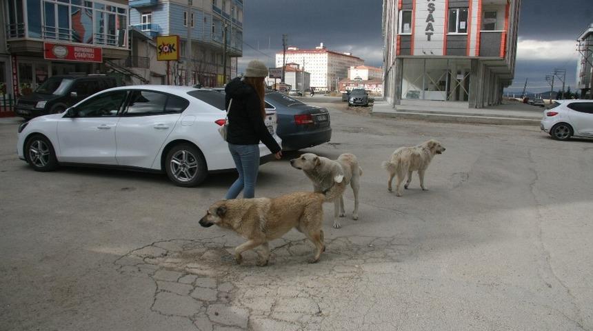 Ağlayarak video çekip sosyal medyadan paylaşan o genç kız konuştu