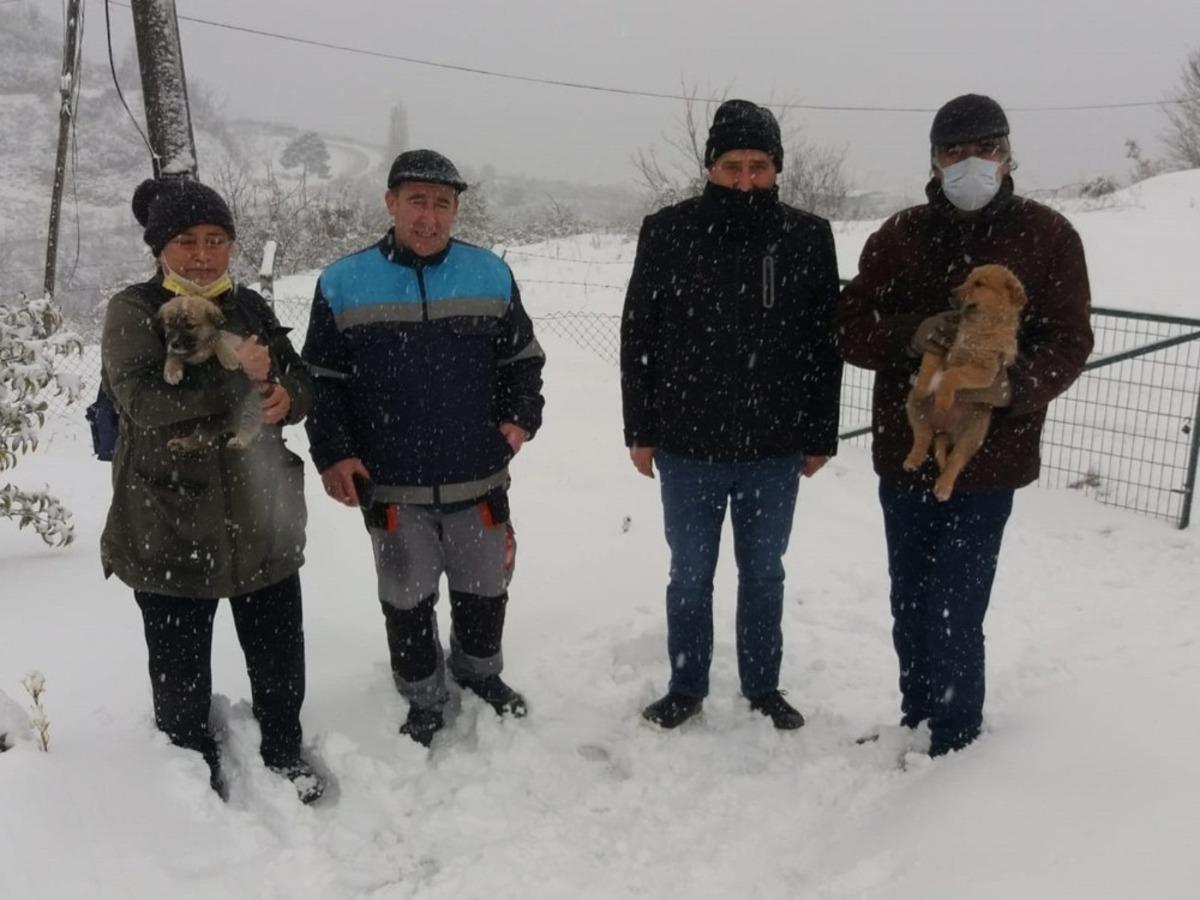 Yavru k&ouml;pekler kurtarıldı