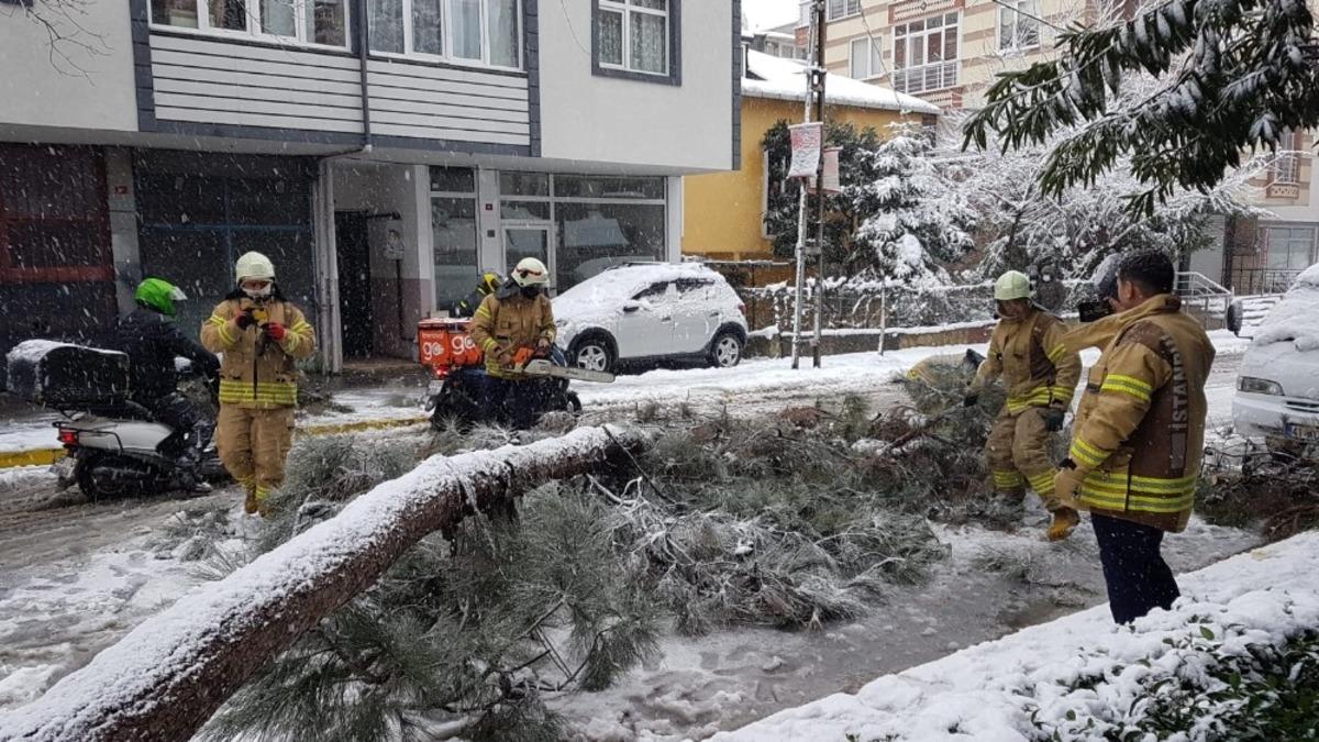Sancaktepe&rsquo;de devrilen ağa&ccedil; yolu kapadı