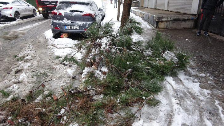 Sancaktepe’de devrilen ağaç yolu kapadı G5