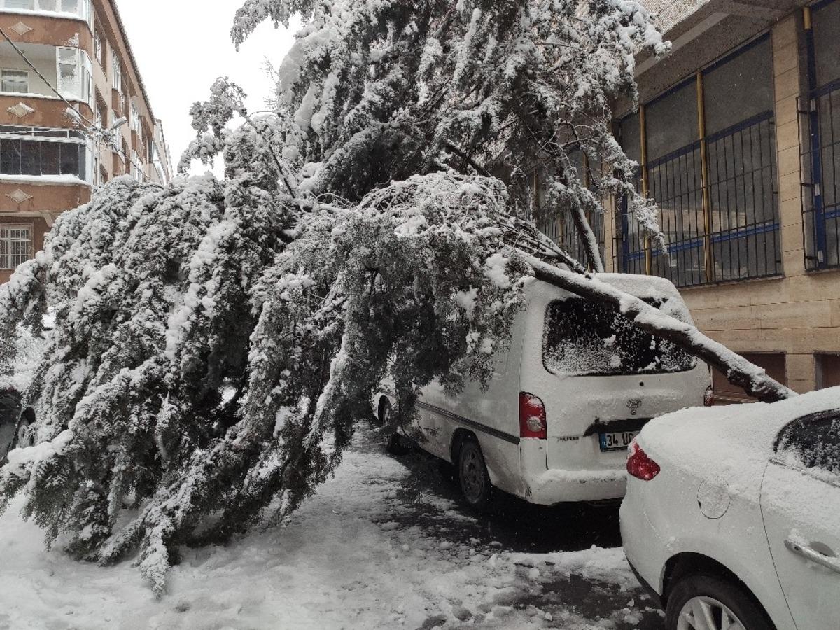 Kara dayanamayan ağa&ccedil;, aracın &uuml;st&uuml;ne devrildi
