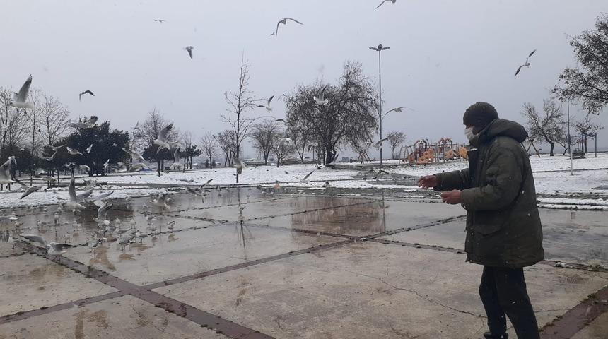 İstanbul'da yürek ısıtan görüntüler! Kar-kış demedi yüzlerce martıyı besledi