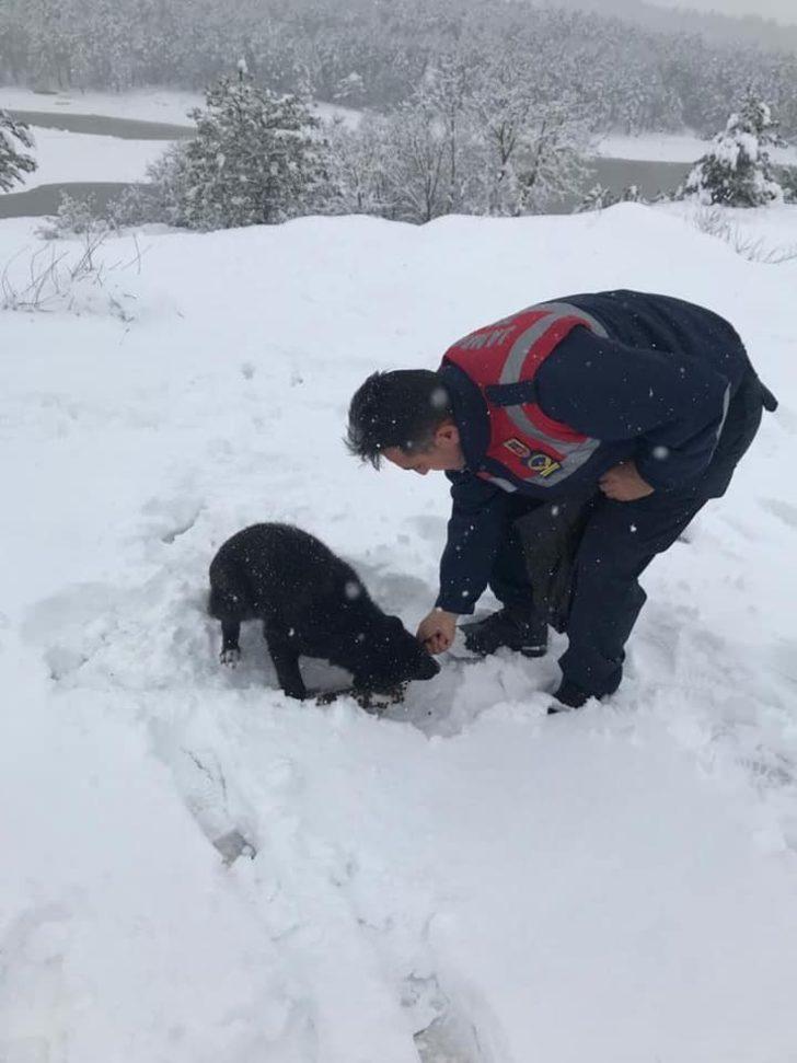 Yolda kalan sürücülerin yardımına jandarma yetişti G5