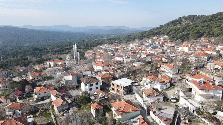 Ayvalık’ta köy okullarında dezenfeksiyon G5