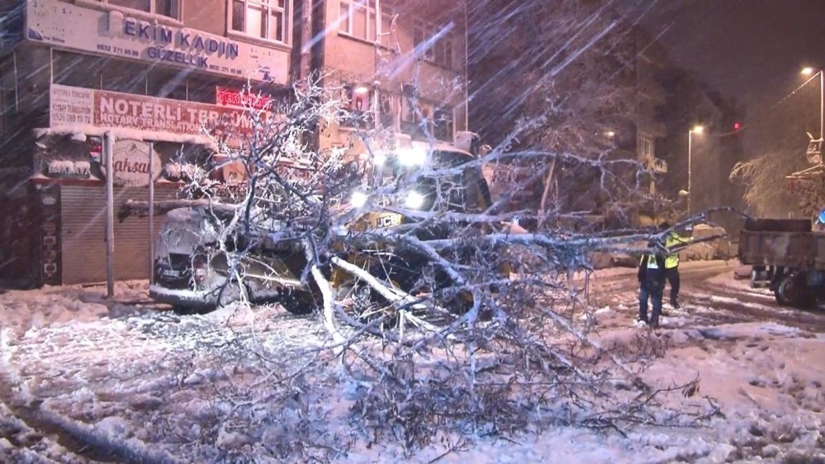 Kağıthane&rsquo;de yoğun kar yağışı nedeniyle yol kenarındaki ağa&ccedil; devrildi