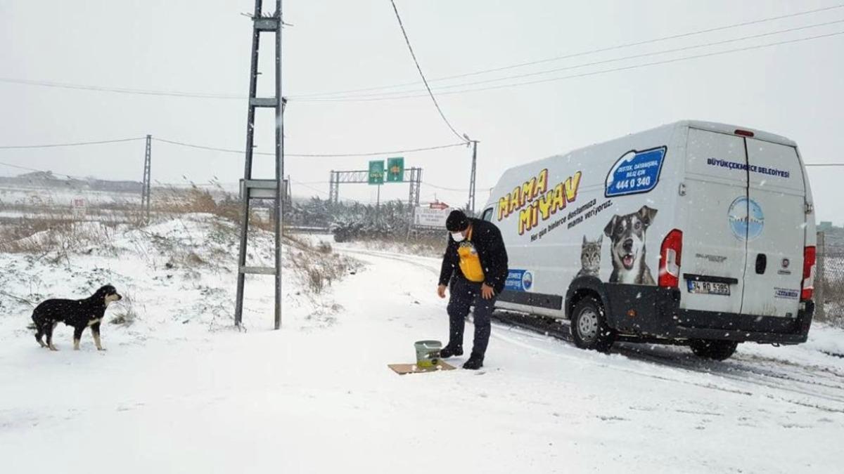 B&uuml;y&uuml;k&ccedil;ekmece yoğun kar yağışına teslim olmadı