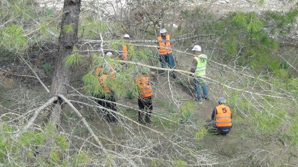 Ağa&ccedil; işleyen k&ouml;yl&uuml;lerin uygulamalı &ldquo;mesleki yeterlilik&rdquo; sınavı