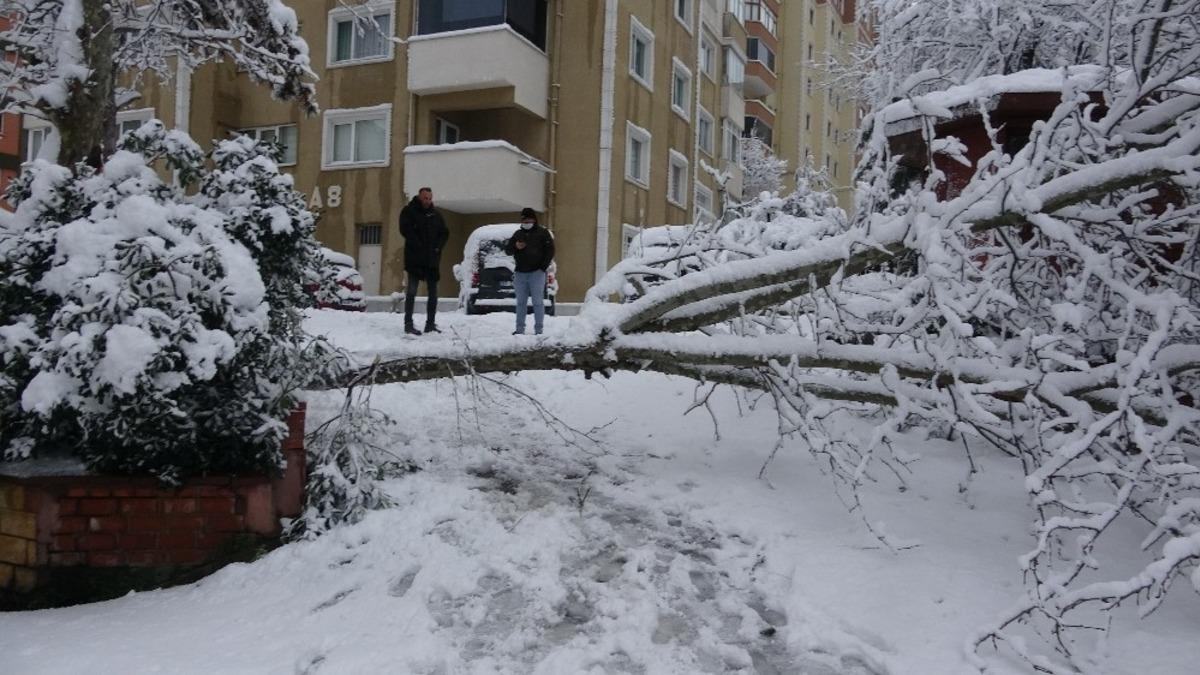 Site kapısına devrilen ağa&ccedil; site sakinlerini mahsur bıraktı