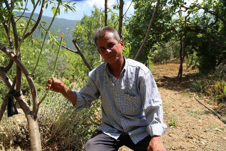 Yakınlarının kayıp ihbarı yaptığı adam, zeytin ağacında asılı halde bulundu G3