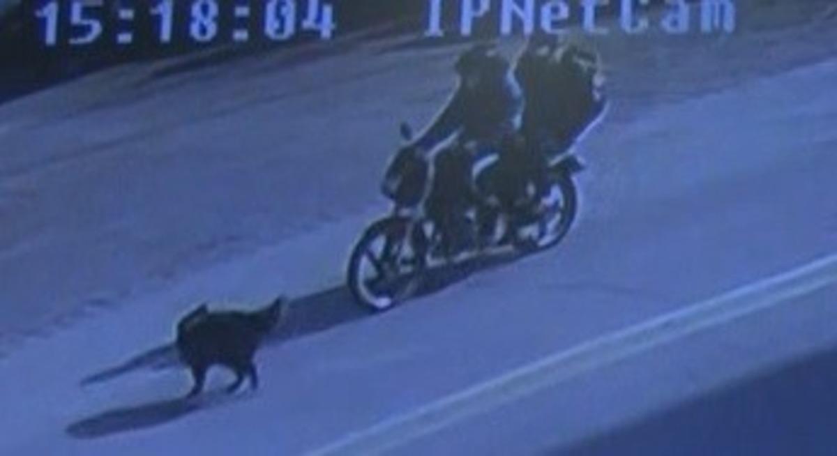 Dikkatsiz s&uuml;r&uuml;c&uuml; mahallelinin canını yaktı