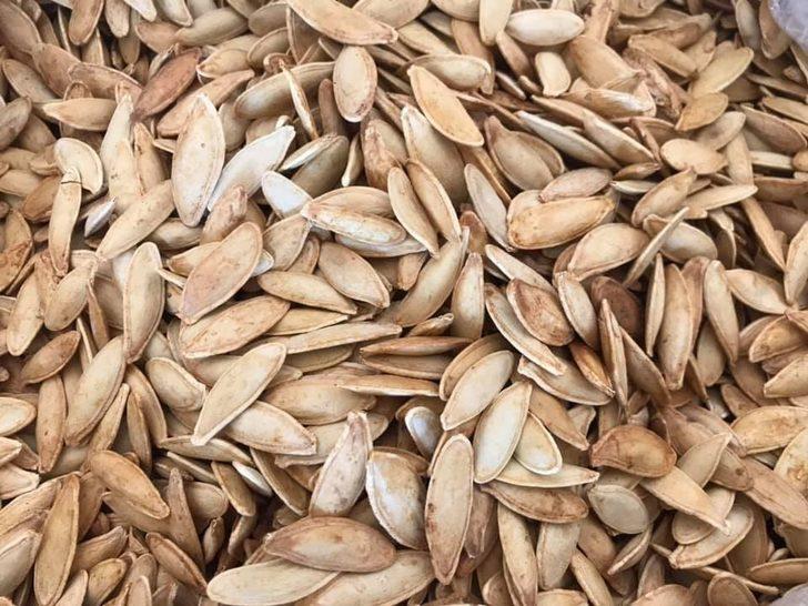 Ürgüp Ziraat Odası, kabak çekirdeği marka tescil yenileme işlemini yaptı G3