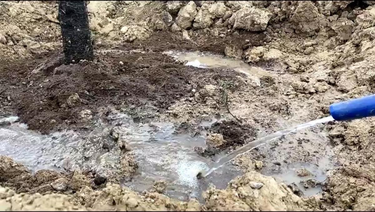 Pursaklar&rsquo;da ağa&ccedil;landırma &ccedil;alışmaları t&uuml;m hızıyla devam ediyor
