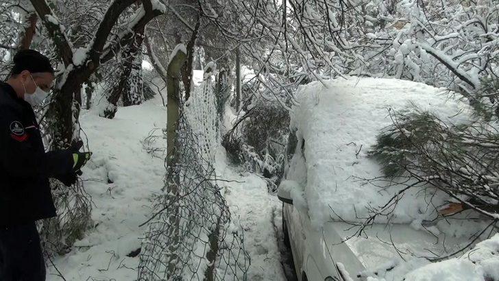 Beşiktaş’ta ağaç devrildi: 4 araç zarar gördü G1