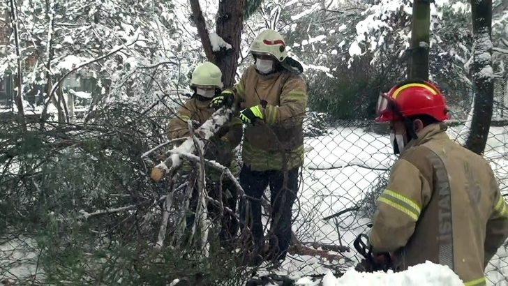 Beşiktaş’ta ağaç devrildi: 4 araç zarar gördü G2