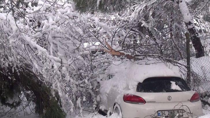 Beşiktaş’ta ağaç devrildi: 4 araç zarar gördü G4