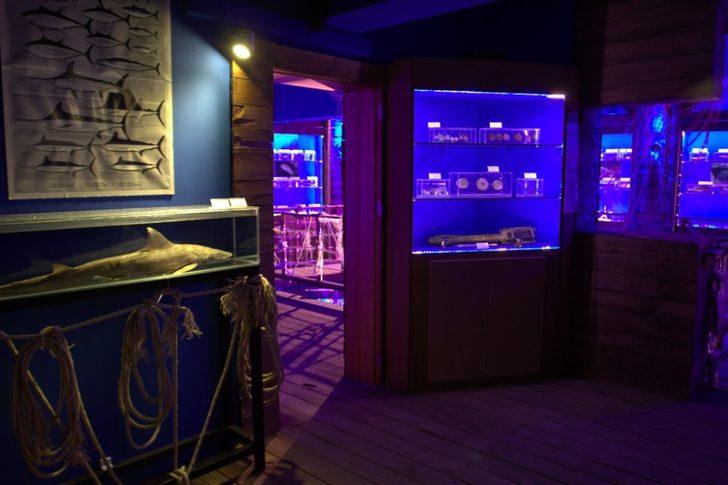 Büyükşehir’e bağlı müzeler ziyarete açıldı G4