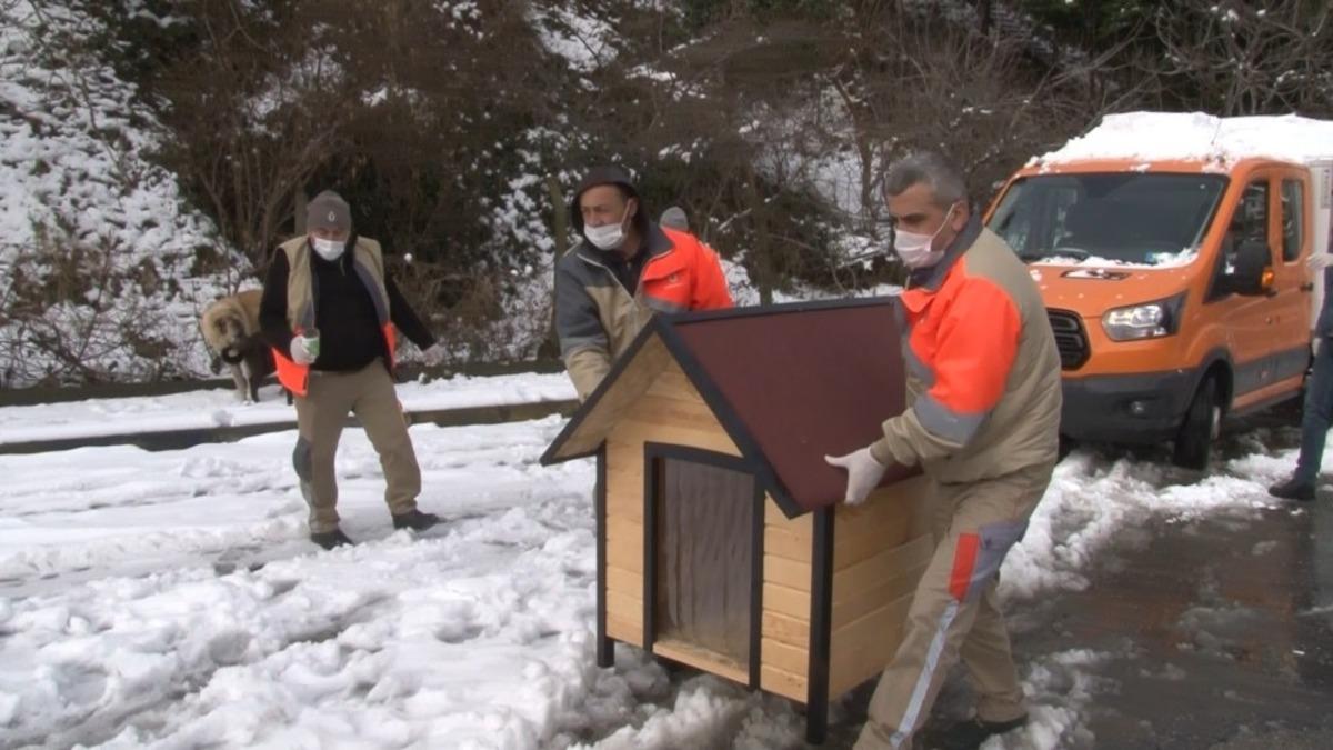 &Uuml;sk&uuml;dar Belediyesi sokak hayvanları i&ccedil;in harekete ge&ccedil;ti