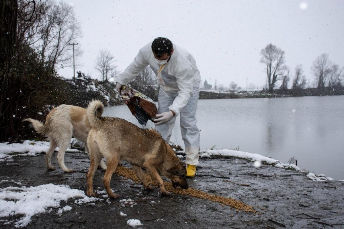 Başkan Kılı&ccedil;: &ldquo;Ekiplerimiz can dostlarımızı da unutmuyor&rdquo;