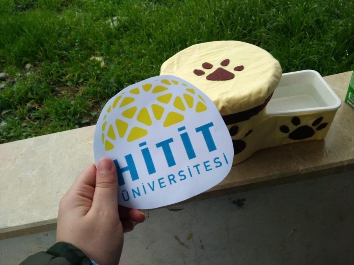 &Uuml;niversite &ouml;ğrencileri sokaktaki dostlarımızı unutmadı