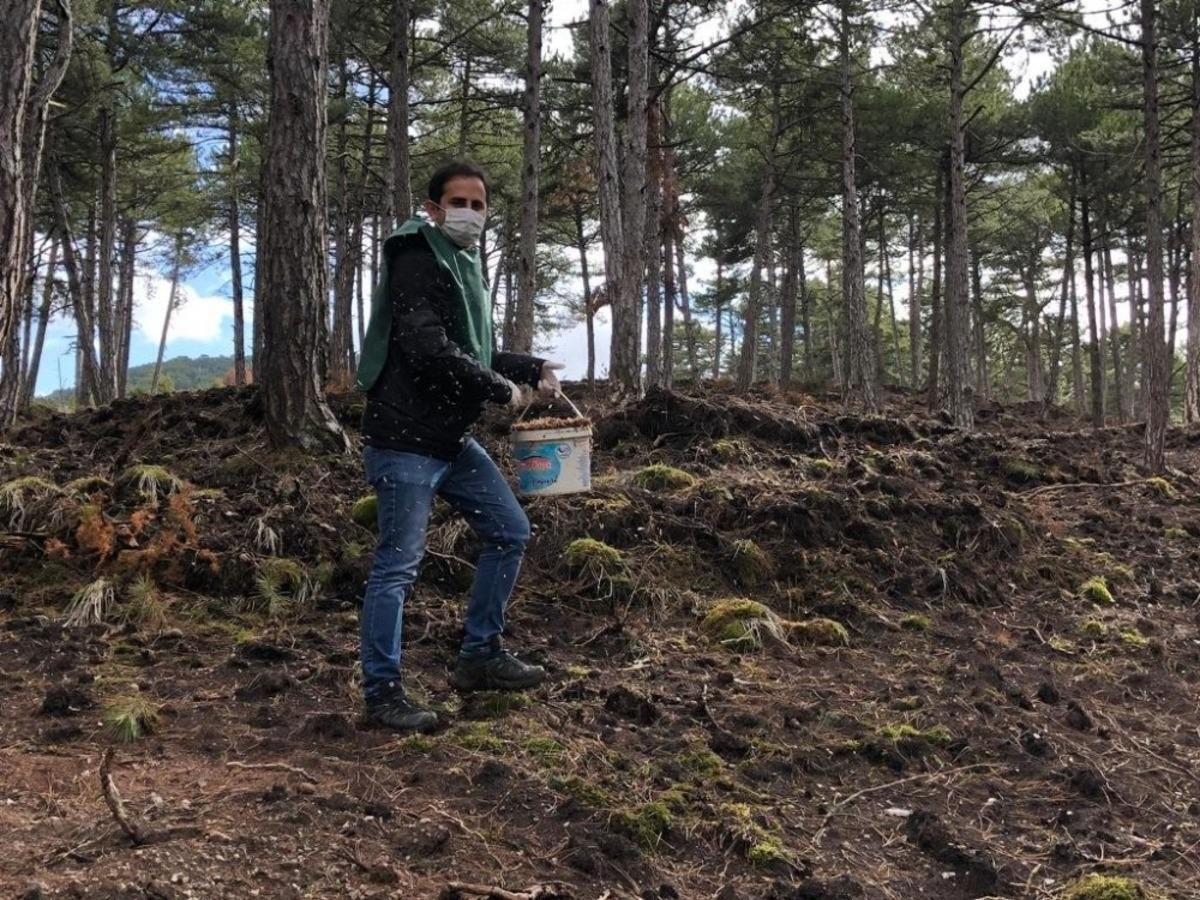 Kara&ccedil;am&rsquo;a tohum takviyesi