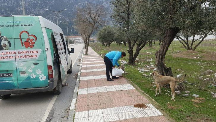 Sokak hayvanları unutulmuyor G4